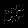 Goldband Halskette schmaler Adder 585 glatt 2,5 mm Länge 36-40 cm Choker