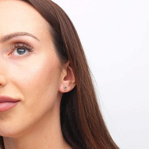 Gold 585 einfarbige Delphin-Ohrringe auf einem Pfosten