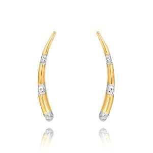 Gold-Horn-Ohrringe 585 Anhänger Diamant-Ohrstecker